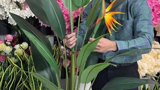 درختچه مصنوعی استرلیتزیا گلدار