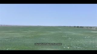 تبریک مدیرعامل ملاردشیر به مناسبت گرامیداشت روز دامدار