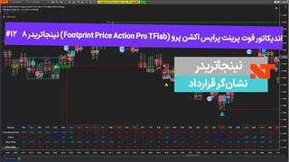 اندیکاتور فوت پرینت پرایس اکشن پرو (Footprint Price Action Pro TFlab) نینجاتریدر 8 #12 نشان‌گر قرارداد [تریدینگ فایندر]