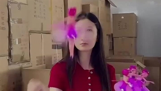 تینگربل پروازی