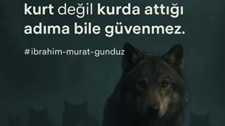 “Kurt Puslu Havada Bile Dikkatlidir | İbrahim Murat Gündüz”