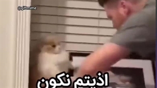 منو داداش کوچیکم (این خود حق و واقعیته)