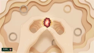 راهنمای خرید انگشتر عقیق نباتی