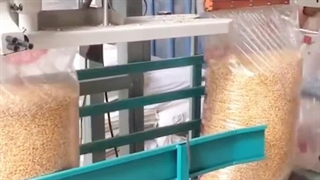 مهندسی‌شده برای انتقال پیوسته مواد