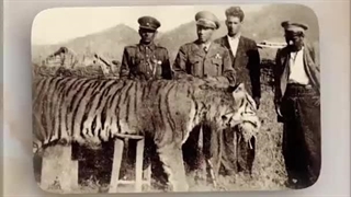 بخشی از مستند رضا پهلوی دوم