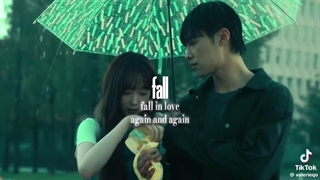 (:Fall in love again and again