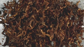 آنباکسینگ و برسی عطر جیونچی جنتلمن سوسایتی ادوپرفیوم امبری در عطرآمین