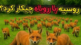 کار عجیب روسیه با ۱۳۰ روباه که همه رو شگفت زده کرد
