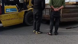 بارگیری چوب ترموود و چوب روسی فروشگاه راه سبز