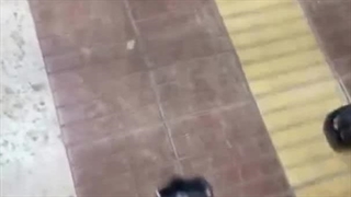 حالا اگه جرعت داری دوباره بزن