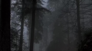 رمان برایم حرف بزن (SPEAK FOR ME) پارت دوم