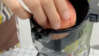 عصاره گیر تمام حرفه‌ای مایر آلمان مدل 263