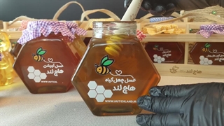 بررسی عسل چهل گیاه ممتاز هاچ لند