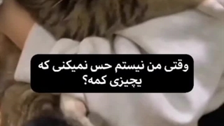 شبتون به زیباییی گربه ها ، خوابای عالی ببینید ، خیلی دوستون دارم ، بوس بهتون ، تا فردا خدافظ ❤