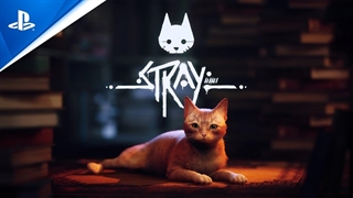 تریلر و گیم پلی کوتاه بازی Stray
