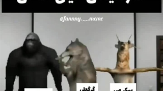 اون اکیپ تو مدرسمون که فکر می‌کنن خیلی خفنن (بیبی گوریل پیک می و ددی آرتا)