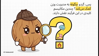 آیا گردو چربی سوز است؟ | خواص گردو برای لاغری