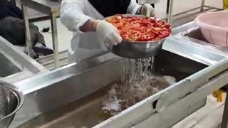 خشک کردن پاپریکا با دستگاه خشک کن استخری اسوه صنعت