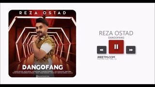 رضا استاد دنگ و فنگ