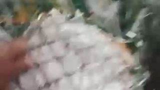 صادرات سیب و میوه تره بار در مهاباد