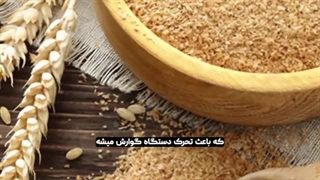 بهترین نوع نان برای سلامت بدن کدام است؟