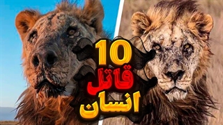 خطرناک ترین حیوانات جهان :۱۰ تا از خطرناک ترین حیوانات جهان که جان تعداد زیادی از انسان هارا میگیرند