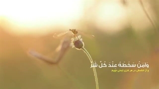 دعای یا من ارجوه لکل خیر