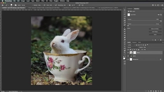 آموزش رایگان فتومونتاژ فانتزی در فتوشاپ (3)