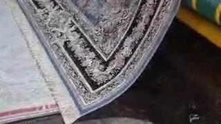 بهترین قالیشویی تهرانپ