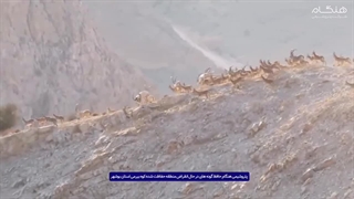 هنگام؛ همراهی صنعت با طبیعتکوه «بیرمی» و تنگه «شیرینه» فقط نقاطی روی نقشه نیستند