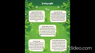 انواع کود ریشه زا | تایمکس