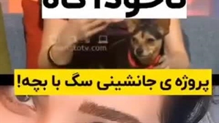 پروژ جانشینی سگ با بچه