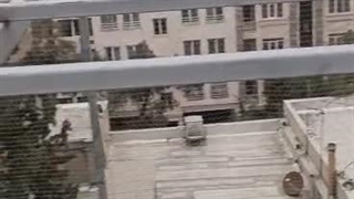 اجرای توری فرنگی و مرغی در تهران سر 09123683825