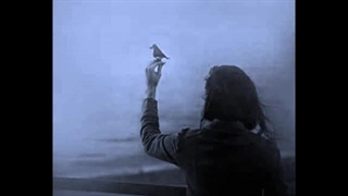 Googoosh - Mano Gonjeshkaye Khooneh / منو گنجشکای خونه از بانو گوگوش