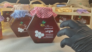 قیمت و خرید عسل بادام زاغی اصل و طبیعی + برگه آزمایشگاه (هاچ لند)