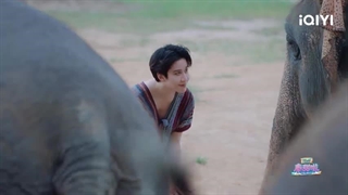 قسمت 7 ورایتی شوی <شیرینی تایلندی> با بازیگران سریال چینی سرعت و عشق (Speed and love 2025)