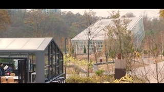 دارم ویژه یک موسیقی‌ بی‌ مانند بازیرنویس