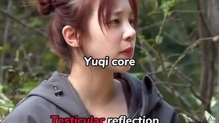 Yuqi core