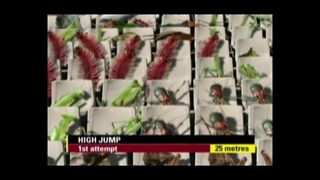 انیمیشن المپیک حیوانات دوبله