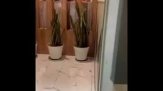 فست فود سیلاک در اردبیل