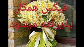 فیلم ۳ من_۳