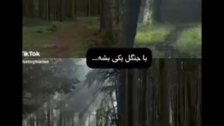 کپ،درباره ی داستانی که قراره بزارم.