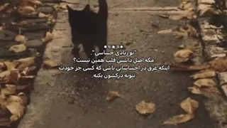 حساسی؟؟