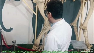 بازدید آموزشی بخش آناتومی و کالبد شناسی دانشکده دامپزشکی دانشگاه تهران