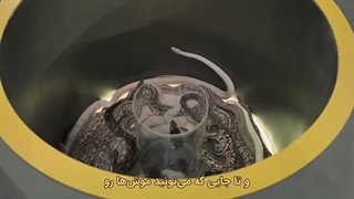 مستند فاکتور ترس: خانه ترس قسمت 8