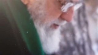 مسافر کرب و بلا شد