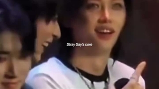 : Stray gay's core پیشنهادی-