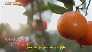فصل پنجم ورایتی شو نردبان اکسو_قسمت ششم(آخر)با زیرنویس فارسی چسبیده_سریال درخواستی در کانال قرار داده میشود