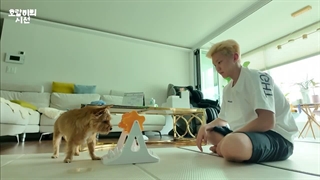 زیرنویس فارسی+[HOSHI TAMTAM] daily life with Dongsaeng Latte