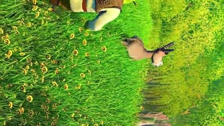 شرک